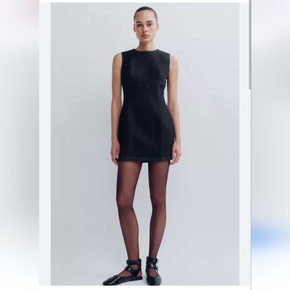 Zara Black Sleeveless Sheath Mini Dress